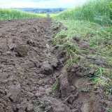 Mulčovaná sláma a kompost jako možná součást řešení eroze u brambor