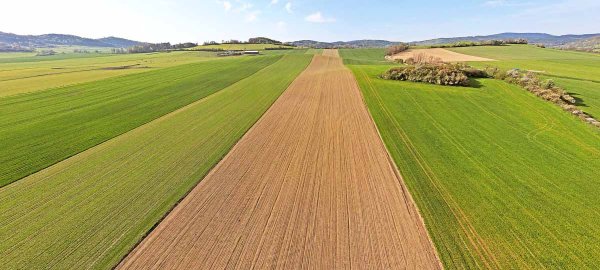 Historický přehled vývoje metodik pro hnojení orných půd fosforem vypracovaných VÚRV (II.) - Snížené hnojení