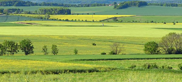 Green Deal a jeho dopad  na slovenské poľnohospodárstvo